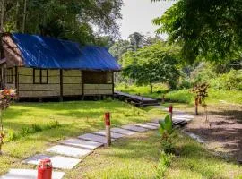 The Forest Elephant - Formerly known as the Flying Elephant