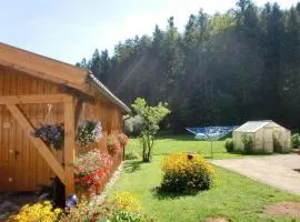 Ferienhaus In Röhrnbach Mit Grill Und Terrasse