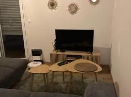 Propre et cosy appartement