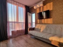 Panoramic view Lebedinny flat