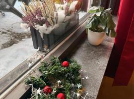 Surki's Loggia an der Sonne, hotel na praia em Schluchsee