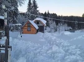 Studio apartman Planinska Bajka