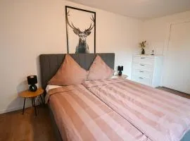 Stylisches 1-Zimmer Apartment in der Roten Straße