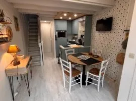 Ti Olli Cocon chaleureux 300m plage