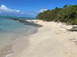 HUAHINE - Fare Etoile bord de lagon