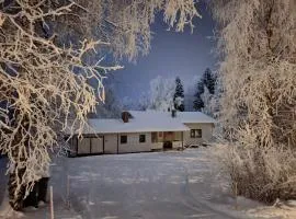Arctic Aurora Villa with a Lappish Grill Hut - Northern Lights and Private Sledding Hill in the Backyard, in the Hometown of Santa Claus, Rovaniemi