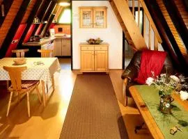 Ferienhaus In Waldkirchen Mit Garten Und Seeblick