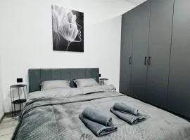 Studio Apartment центр міста Чернівці