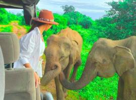 Ora Safari Resort，位于达瓦拉维的带热水浴缸的酒店