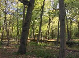 Alluring Apartment in Bergen with Terrace, Garden and BBQ, hotel v destinaci Bergen