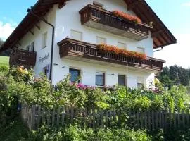 Holzerhof Lothen , Campolino