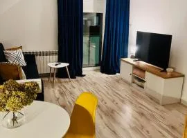 Apartament Studio Sasankowa z bezpłatnym parkingiem