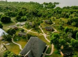 Signature Collections by Eight Continents