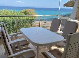 Beachfront Bliss Polychrono