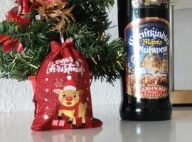 Ferienwohnung Wera -am Bikepark-Sauna