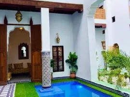 Riad Old City Palace