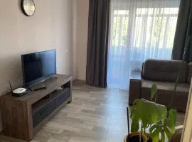 Простора квартира по вулиці Брацлавська