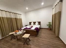 Kashmir Beautiful Villa