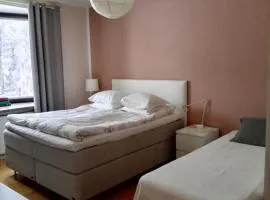 Kemi city center 2 room FREE PRIVATE PARKING with heating plug