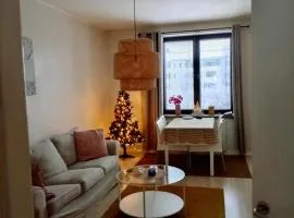 Kemi city center 2 room and kitchen FREE PRIVATE PARKING