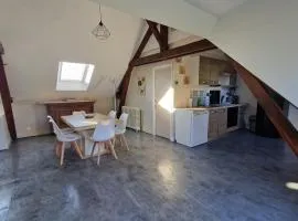 Maison au coeur des Châteaux de la Loire