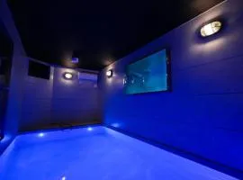 SEADINERS VILLA AOYAMA Tokyo First Metropolis Villa Pool Sauna BBQ