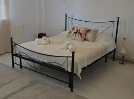 Relax studio Craiovita