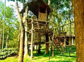 Rendezvous Jungle Resort