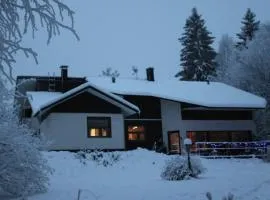 Atmospheric house on riverbank