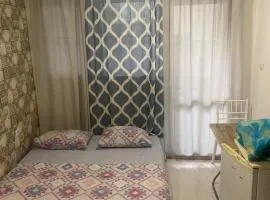 Стая радецки