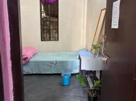 Hornbill Guest House