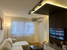 X apartment - Charming 1BR Retreat apartment