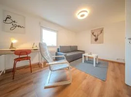 Beautiful apartment Near Basel 4 people Huningue