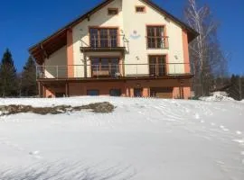 Apartmány Vila Jestřabí v Krkonoších