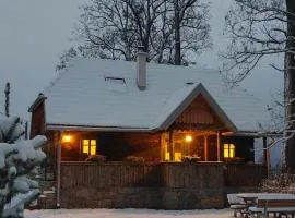 Cozy wooden house Robinia