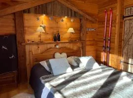 Appartement LAPRESKI, spacieux, esprit chalet, proche stations des Aravis