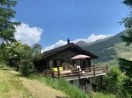Chalet le Moulin - calme, nature, cheminée, vue