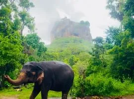 Zensigiri Ayurveda Wellness Homestay