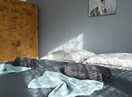 revLIVING Lodge Kleinstelzendorf Hollabrunn - 4 Schlafzimmer