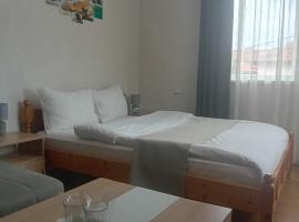 Holiday guest house KEMO, hotel in Sapareva Banya
