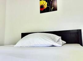 Hotel San Pedro, hotel in Monterrey