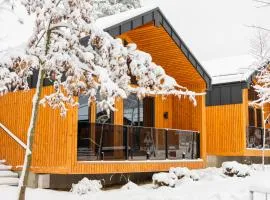 Phoenix Medical Resort