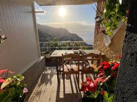 Tropical House, hotel in Ribeira Brava