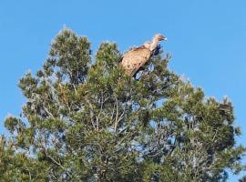 Omellóns में, होटल Duplex LLORACH I