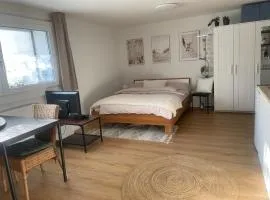 Magnifique studio dans une villa