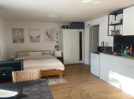 Magnifique studio dans une villa