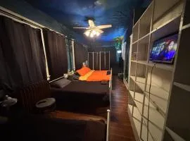 Cozy Bears Bunkers Manor & Carpe Diem Spa