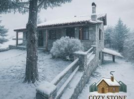 Cozy Stone Retreat, cabin in Palaios Agios Athanasios