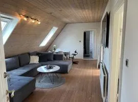 Penthouse apartment in Esbjerg city