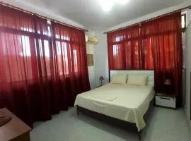 Central Apartments Shoshi